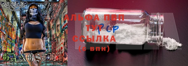 COCAINE Богданович